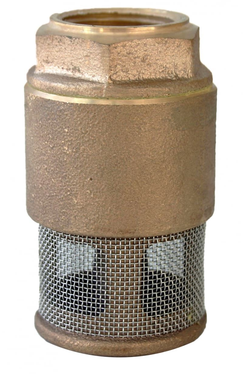 Vertical Check Valve w/ 1/8 in. Port Hole